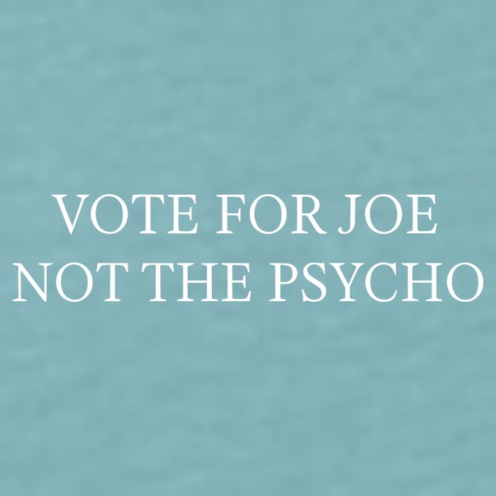 Vote For Joe Not The Psycho Sueded Cloud Jersey T-Shirt