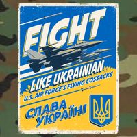 Vintage FIGHT Like Ukrainian US AIR Force's Flying Cossacks Poster Flatbill Hat