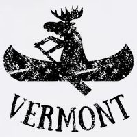 Vermont Funny Moose Canoe Vacation Women's V-Neck T-Shirt