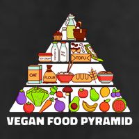 Vegan Food Pyramid Adult Drive Performance Visor
