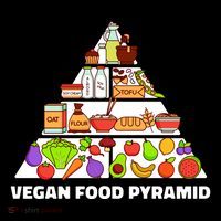 Vegan Food Pyramid Wool Snapback Cap