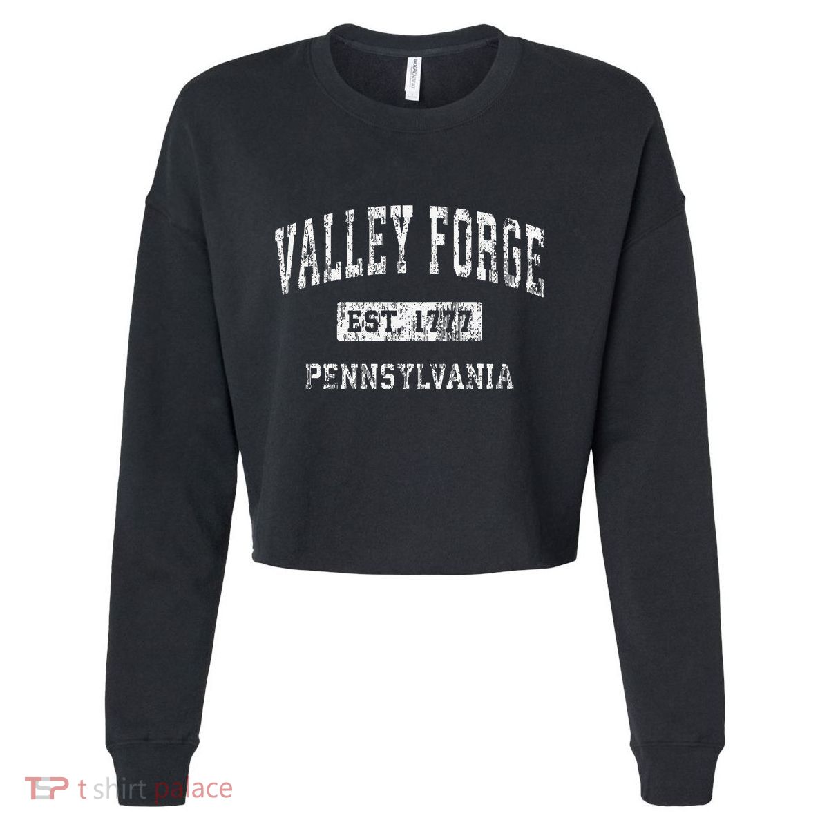 Valley Forge Pennsylvania Pa Vintage Established Cropped Pullover Crew