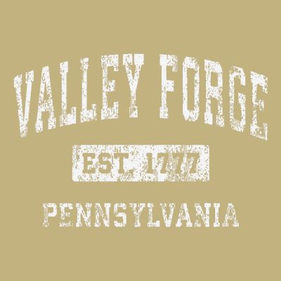 Valley Forge Pennsylvania Pa Vintage Established T-Shirt
