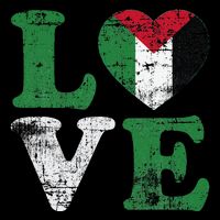 Vintage Free Palestine Flag S For Button