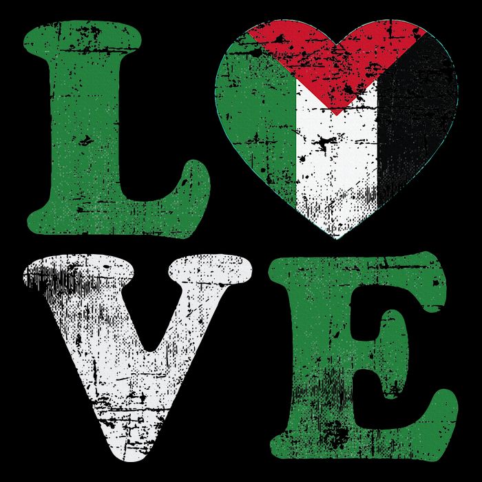 Vintage Free Palestine Flag S For Button