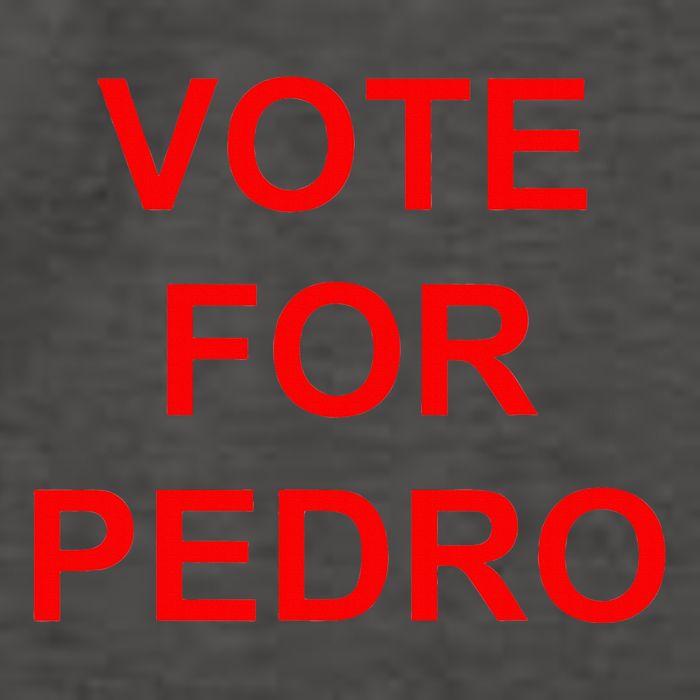 Vote For Pedro Ringer Vector Backpack