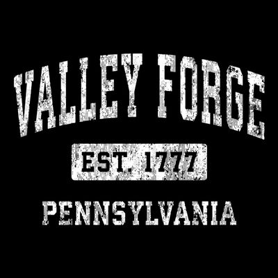 Valley Forge Pennsylvania Pa Vintage Established Sports T-Shirt