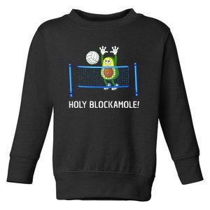 Volleyball For Setter Libero Play Volleyball Toddler Sweatshirt