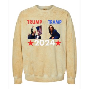 Vote For Trump Trump Vance 2024 Colorblast Crewneck Sweatshirt