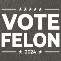 Vote Felon Trump 2024 Usa United States Stars Cotton Canvas Backpack