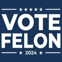 Vote Felon Trump 2024 Usa United States Stars Bucket Hat