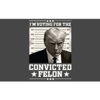 Vote For The Felon Trump 2024 Bumper Sticker