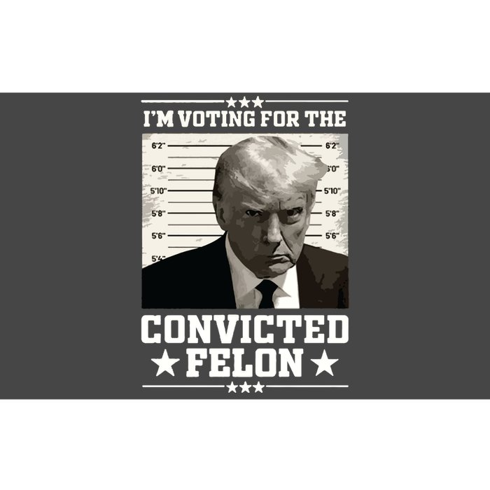 Vote For The Felon Trump 2024 Bumper Sticker