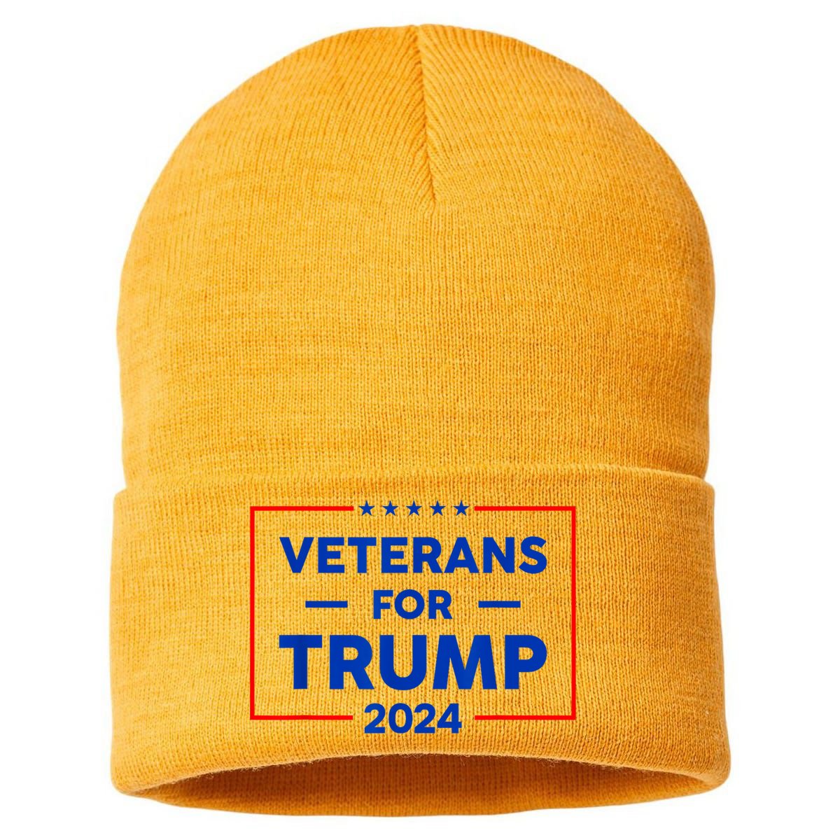 Veterans For Trump 2024 Sustainable Knit Beanie