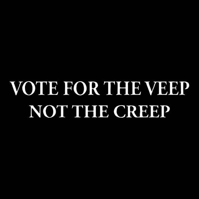Vote For The Veep Not The Creep Pom Pom 12in Knit Beanie