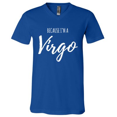 Virgo Funny Virgo Astrology Gift Funny Gift V-Neck T-Shirt