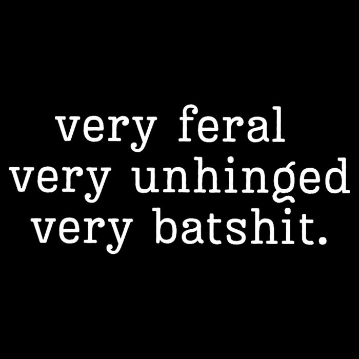 Very Feral Very Unhinged Very Batshit Sweatshirt