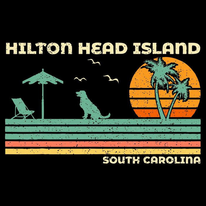 Vintage Family Vacation South Carolina Hilton Head Island Hoodie