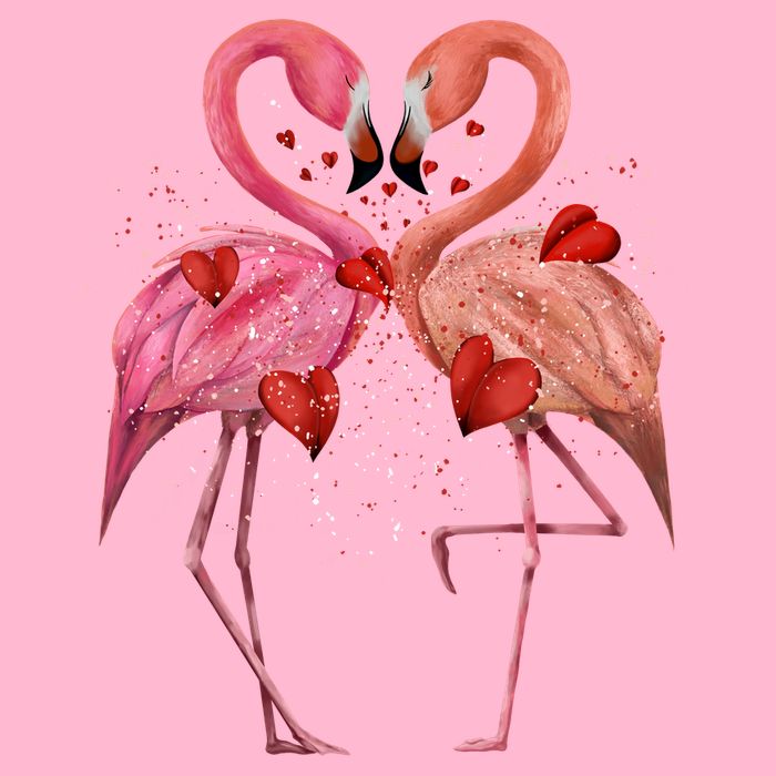 Valentine Flamingos Doggie Tank