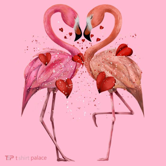Valentine Flamingos Kids T-Shirt