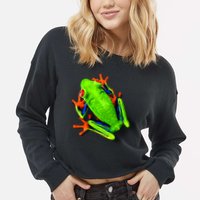 Vibrant Frog Cropped Pullover Crew