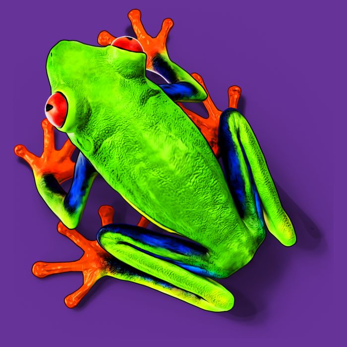 Vibrant Frog Visor