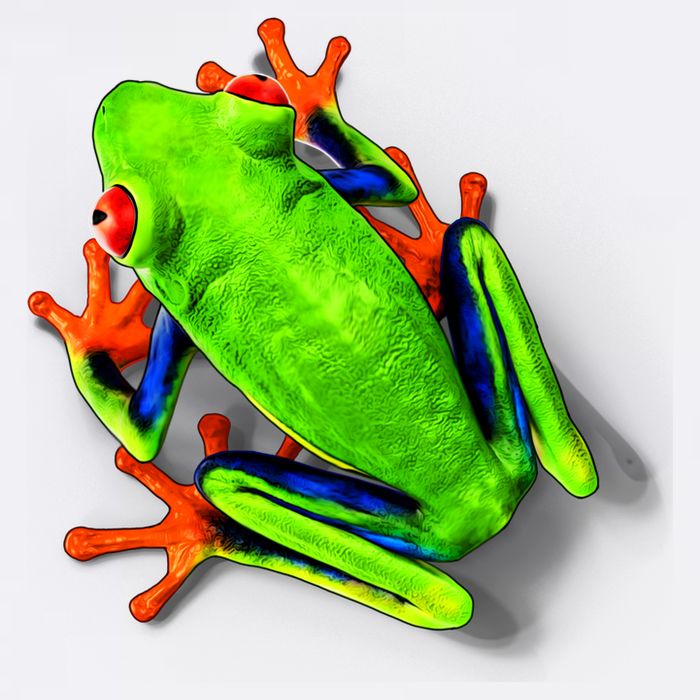Vibrant Frog Garment-Dyed Sweatshirt