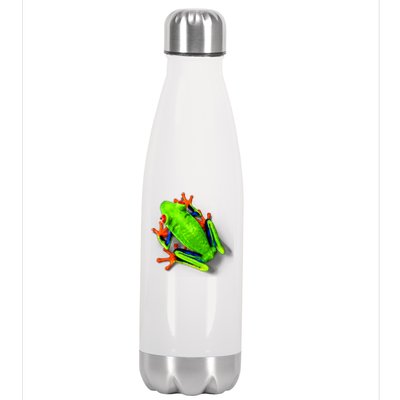 Vibrant Frog Stainless Steel Insulated Water Bottle