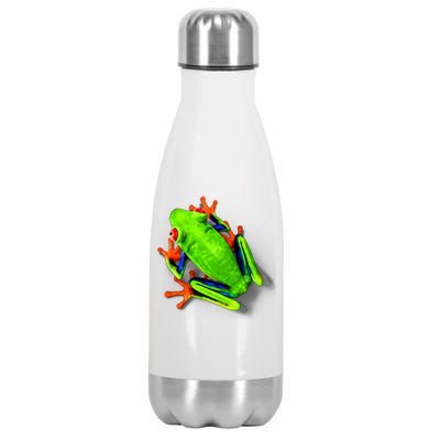 Vibrant Frog Stainless Steel Insulated Water Bottle