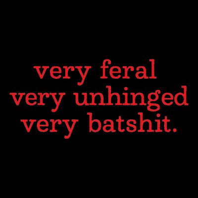 Very Feral Very Unhinged Very Batshit T-Shirt
