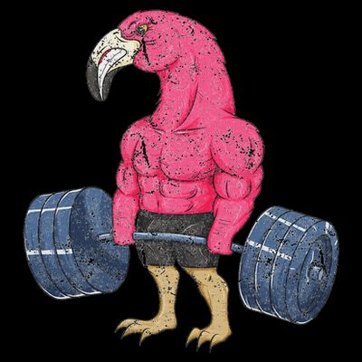 Vintage Flamingo Weightlifting Bodybuilder Muscle Fitness T-Shirt