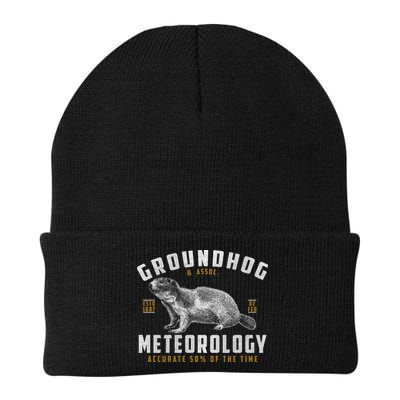 Vintage Groundhog's Day Meterology ESTD 1887 Beanie