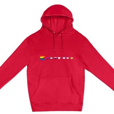 Video Game Funny Gaming LGBT Q Ally Pride Flag Gamer Premium Pullover Hoodie