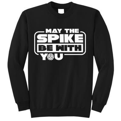 Volleyball Gifts For BeachVolleyball Players Sweatshirt
