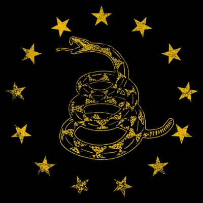 Vintage Gadsden Flag Snake Betsy Ross Flag 13 Stars T-Shirt