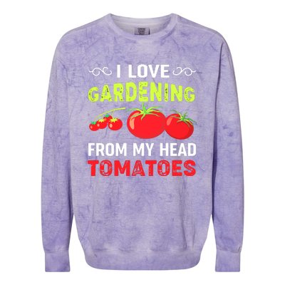 Vegetable Gardener, Gardening, Funny Pun: Head Tomatoes Colorblast Crewneck Sweatshirt