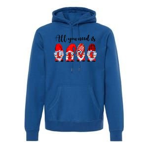 Valentine Gnomes Holding Hearts Valentine's Day Gnome Love Gift Premium Hoodie