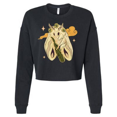 Vintage Goth Moth Insect Faecore Cottagecore Fairy Core Cropped Pullover Crew