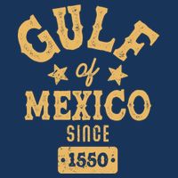 Vintage Gulf Of Mexico Since 1550 Ladies Essential Flowy Tank