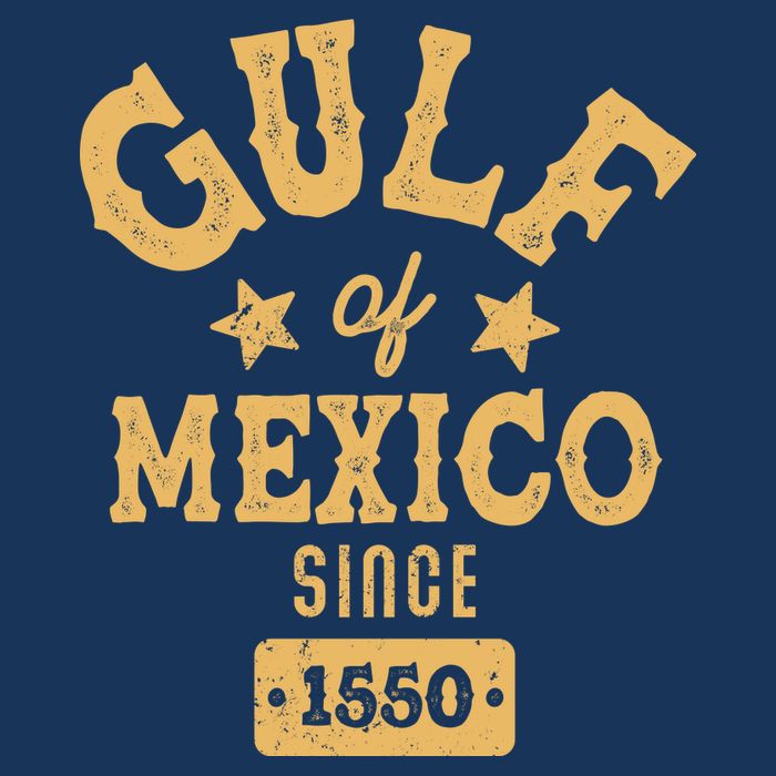 Vintage Gulf Of Mexico Since 1550 Ladies Essential Flowy Tank