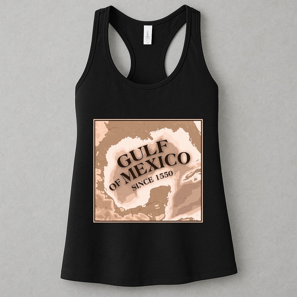 Vintage Gulf Of Mexico Since 1550 Map Womens Tank Top