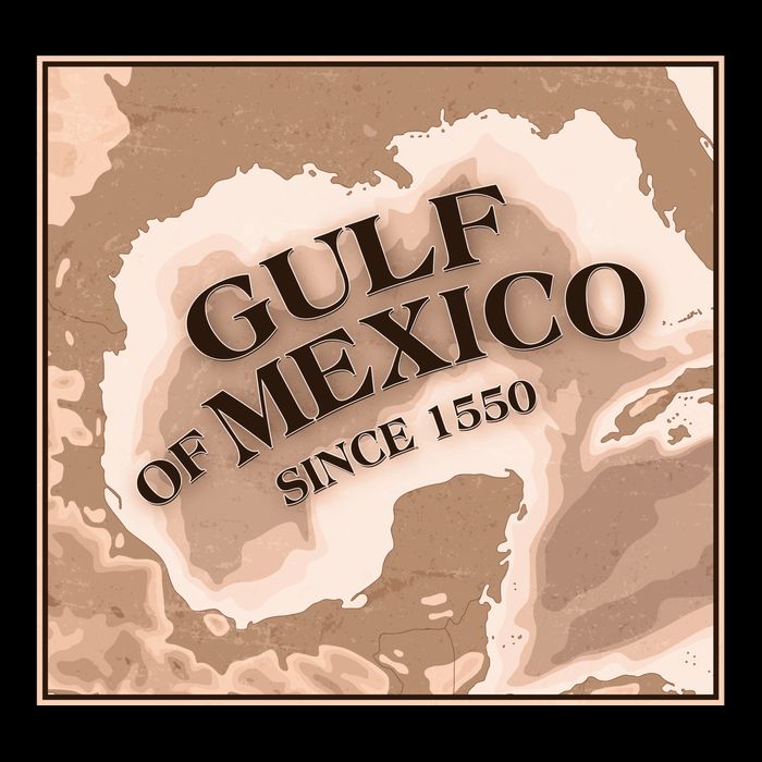 Vintage Gulf Of Mexico Since 1550 Map Womens Tank Top