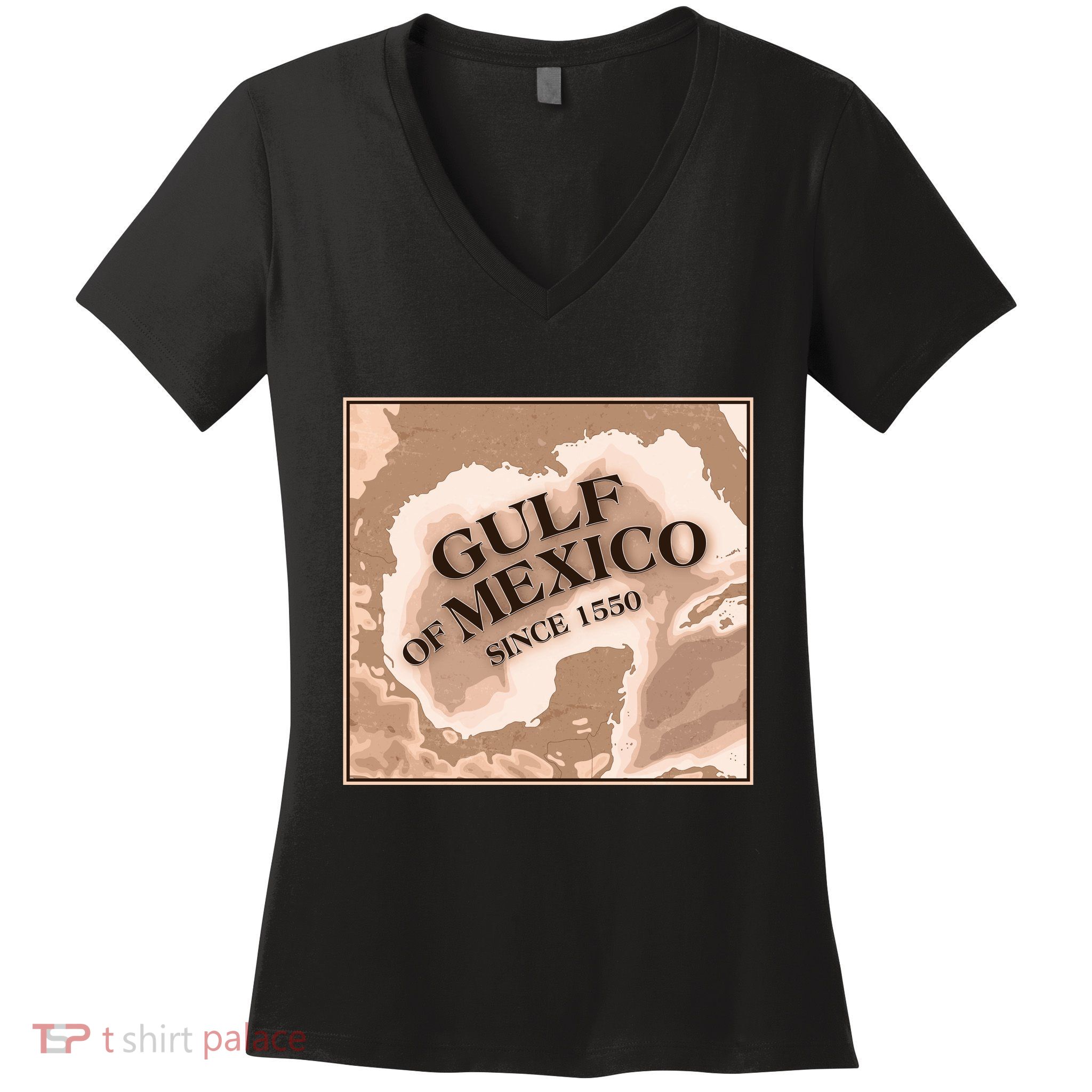 Vintage Gulf Of Mexico Since 1550 Map Women's V-Neck T-Shirt