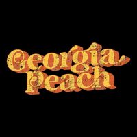 Vintage Georgia Peach 70s Summer Bag