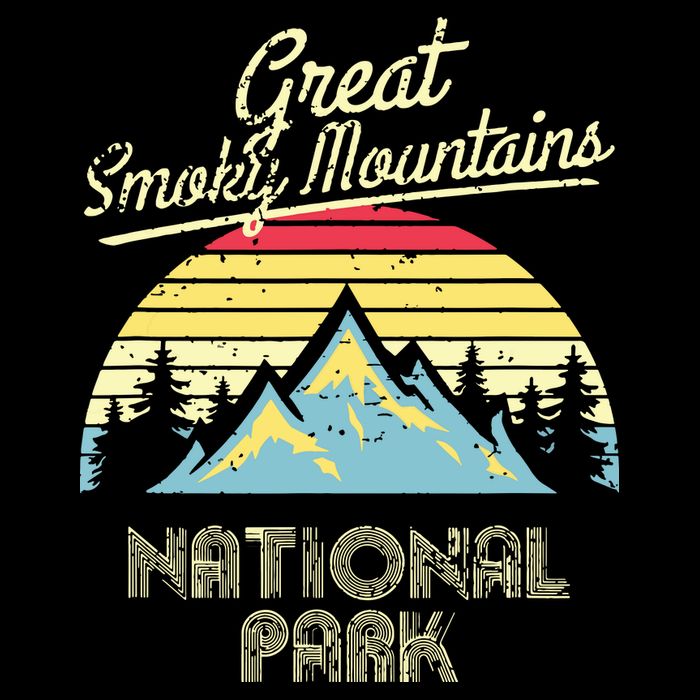 Vintage Great Smoky Mountains National Park Mountain Toddler T-Shirt