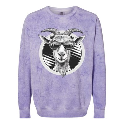 Vintage Goat Sunglasses Farming Farmer Goat Lover Gift Colorblast Crewneck Sweatshirt