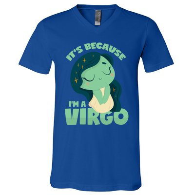 Virgo Gift V-Neck T-Shirt