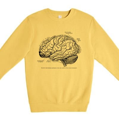 Vintage Hu Brain Anatomy Gift Premium Crewneck Sweatshirt