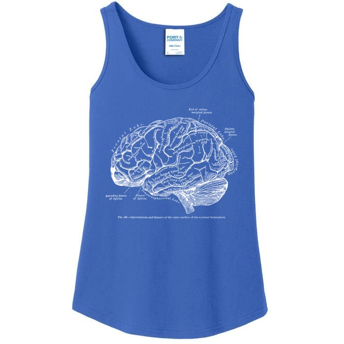 Vintage Hu Brain Anatomy Gift Ladies Essential Tank