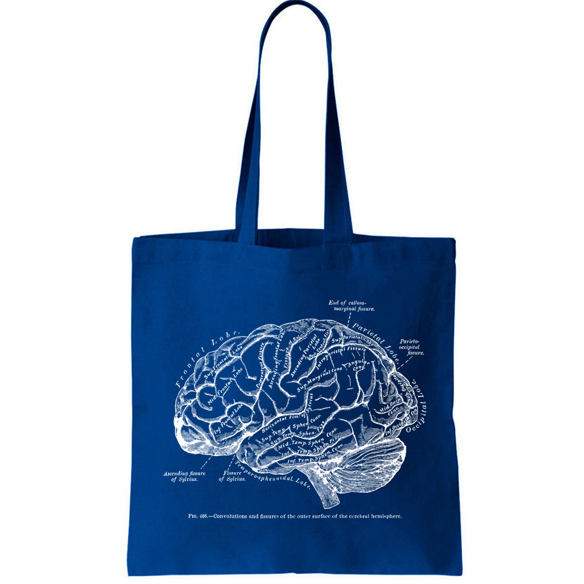 Vintage Hu Brain Anatomy Gift Bag
